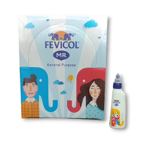 Pidilite Fevicol 20grm Box Pack